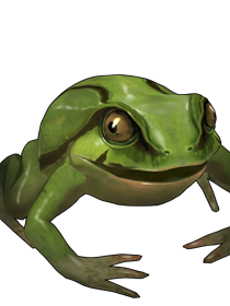 개구리이(가) 표시된 사진

자동 생성된 설명